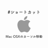 MacOSXのカーソル移動のショートカット